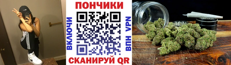 где продают   Буй  Конопля Bruce Banner 
